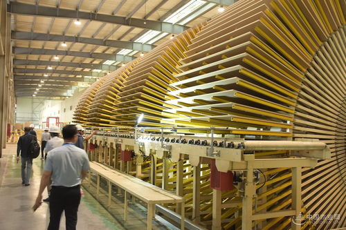 好板迎亞運 綠色工廠行 千年舟澳思柏恩邳州工廠品質之旅