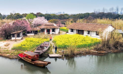 徐報融媒帶您 春游 了③ 春暖花開,別來無恙