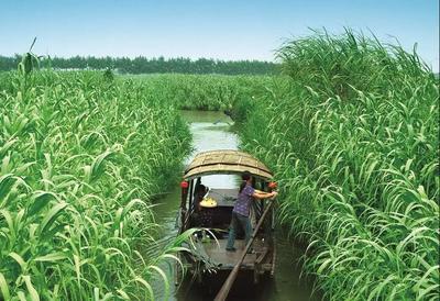 權威發布,常熟全市A級景區恢復對外開放!