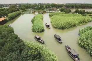 烽火蘆蕩，青春定向 2019首屆華僑城杯沙家浜紅色定向賽邀您啟程