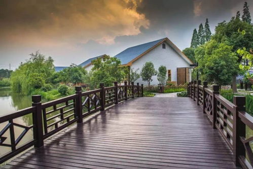 豐收季，鄉村游 常熟沙家浜，不止稻香魚肥